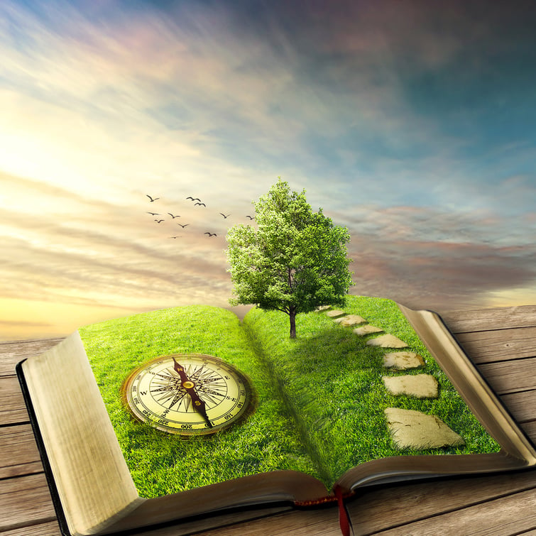 Illustration of magic opened book covered with grass, compass, tree and stoned way on woody floor, balcony. Fantasy world, imaginary view. Book, tree of life, right way concept. Original screensaver.